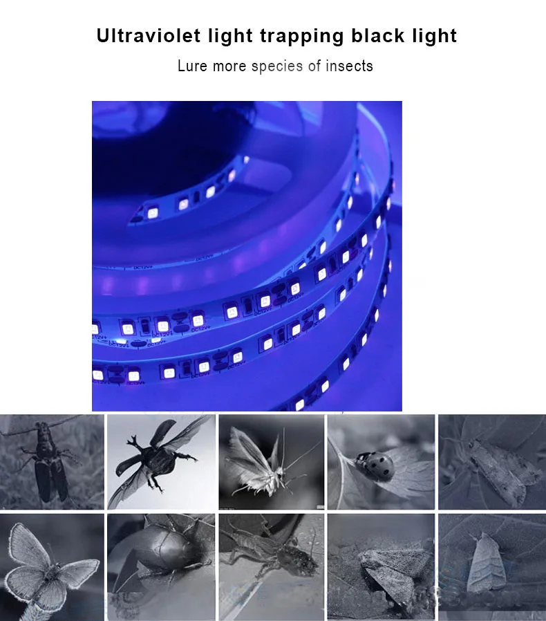 자외선 램프 UV LED 스트립 라이트, USB 배터리, DJ 형광 파티 블랙 라이트 경화, 모든 젤 매니큐어, 395-405nm