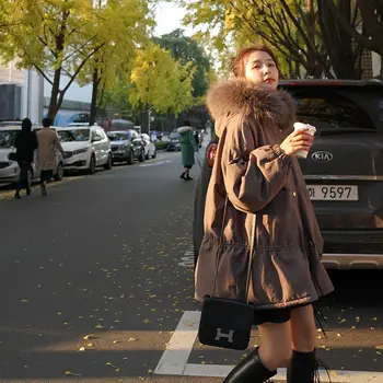 

New 2021 Women's Jackets Parkas Female Coat Winter Warm Fur Hooded Winter Jacket Women Big Fur Collar Women's Jacket Q339