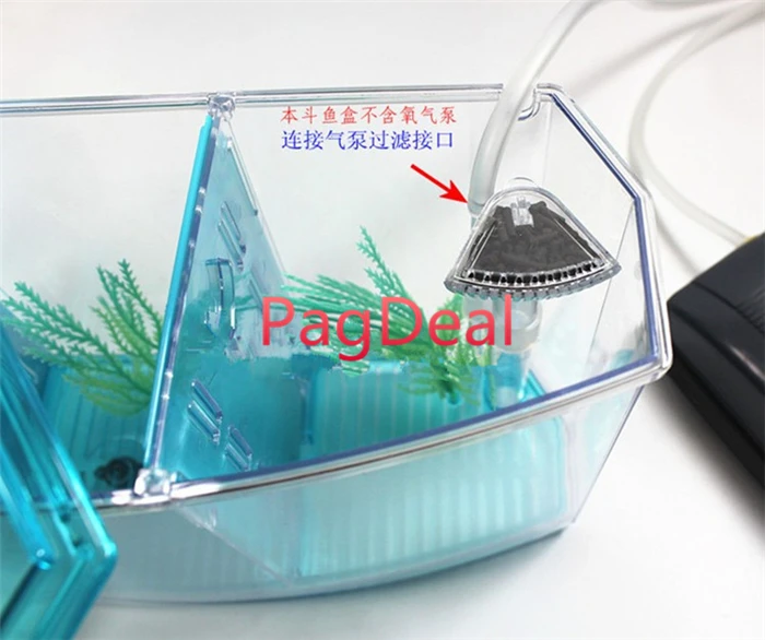 betta box06