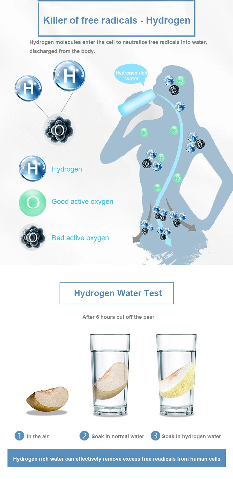 380ml PEM, DuPont N117 Ion Membrane, H2