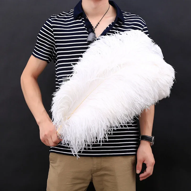 10 шт. белые страусиные перья 15 70 см 6 28 дюймов|white ostrich feathers|ostrich featherfeathers for craft |
