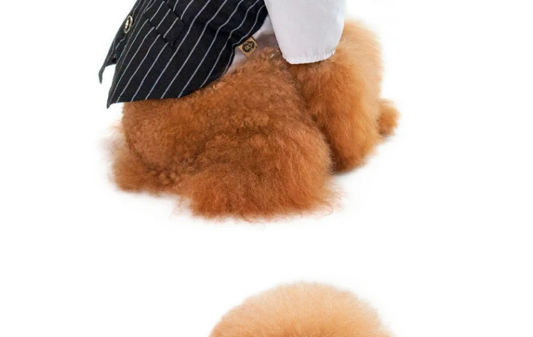 Официальная одежда для собак Свадебный собачий костюм Одежда для питомца смокинг Одежда для маленьких средних собак для Мопсов
