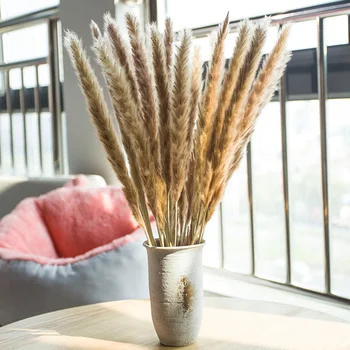 

30pcs Dried Pampas Grass Dried Flowers Natural Nordic Home Decoration Wedding Flower Bunch Home Decor