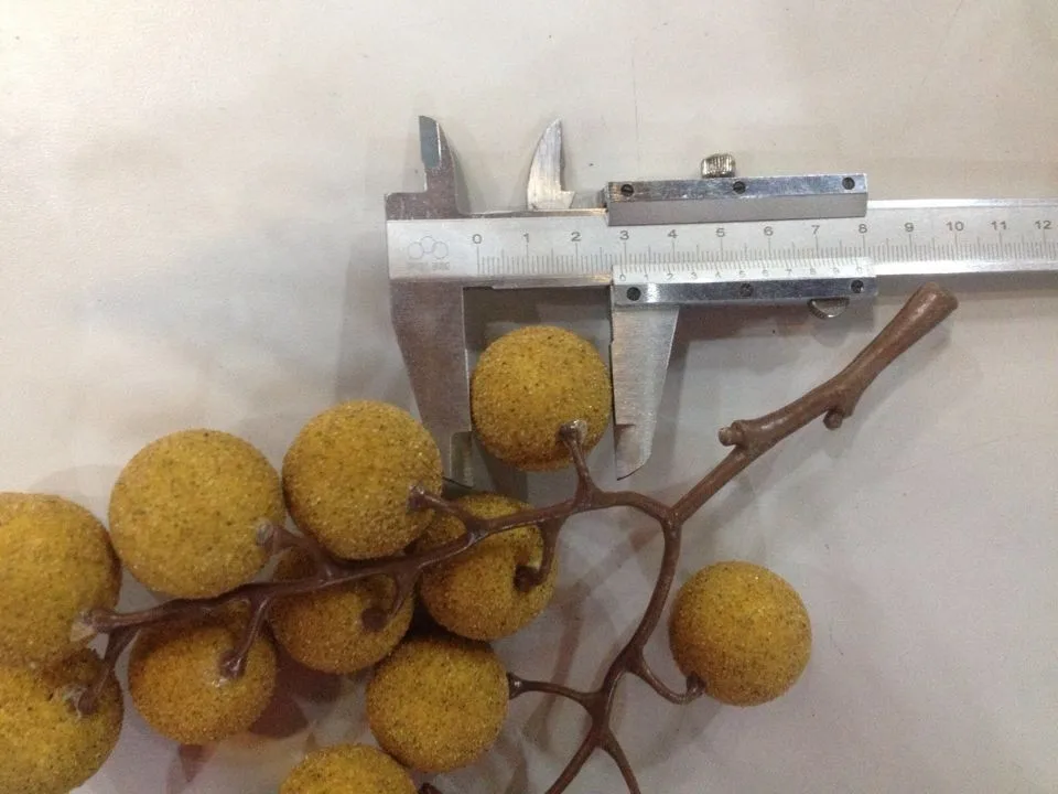 fruit toy The Model Of Longan Fruit False Simulation Play Toys And Vegetable Food Home Decorations Unisex Finished Goods Plastic