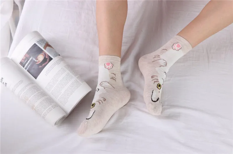 QQ截图20200415233521