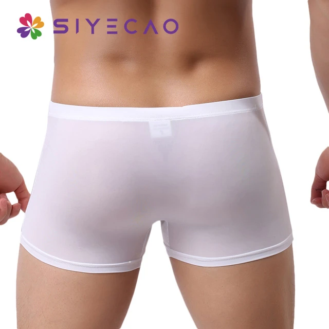 Thin Transparent Ice Silk Seamless Sexy Men Underwear Men Boxer Shorts Men's  Underpants Cueca Boxer Homme Calzoncillos Hombre - AliExpress