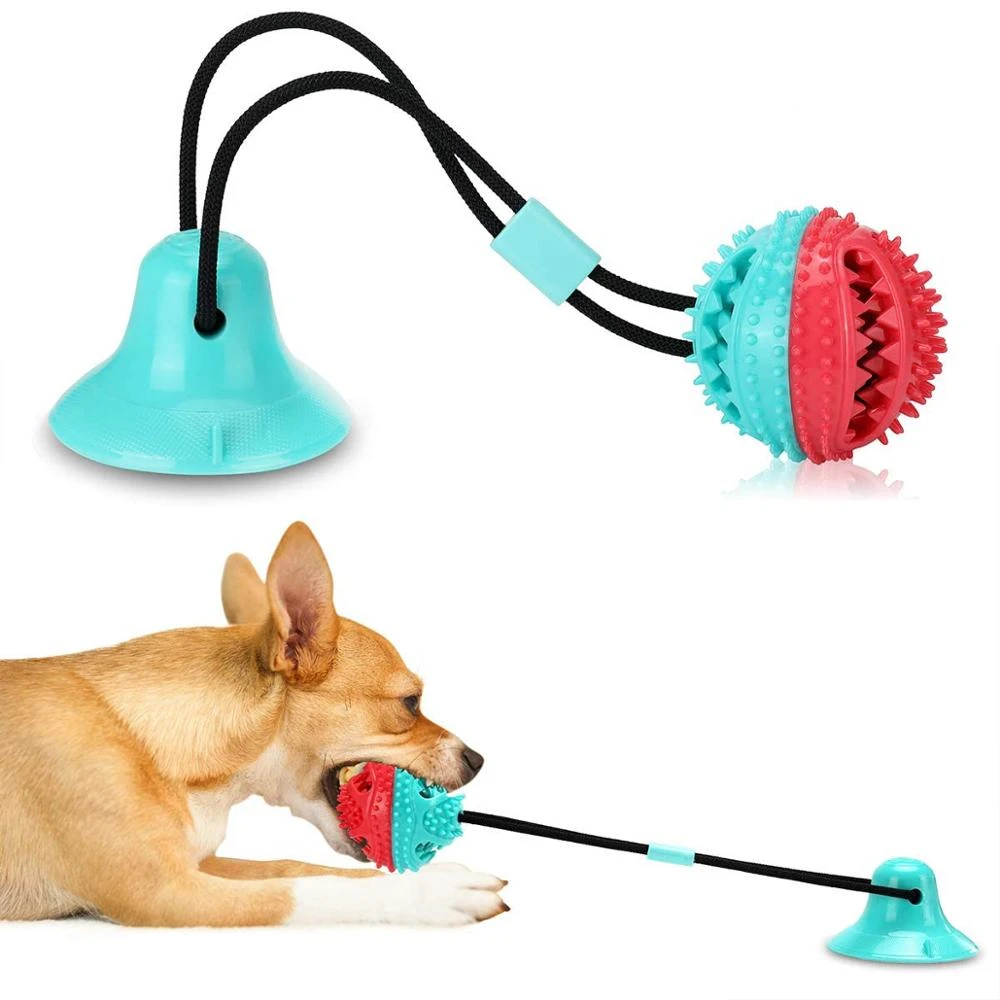 teeth cleaning dog ball