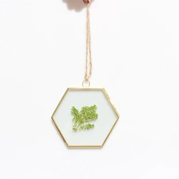 

DIY Retro Hexagon Metal Photo Frame High Transparent Glass Gold Chain Hanging Photo Frame Picture Frame Specimen Folder