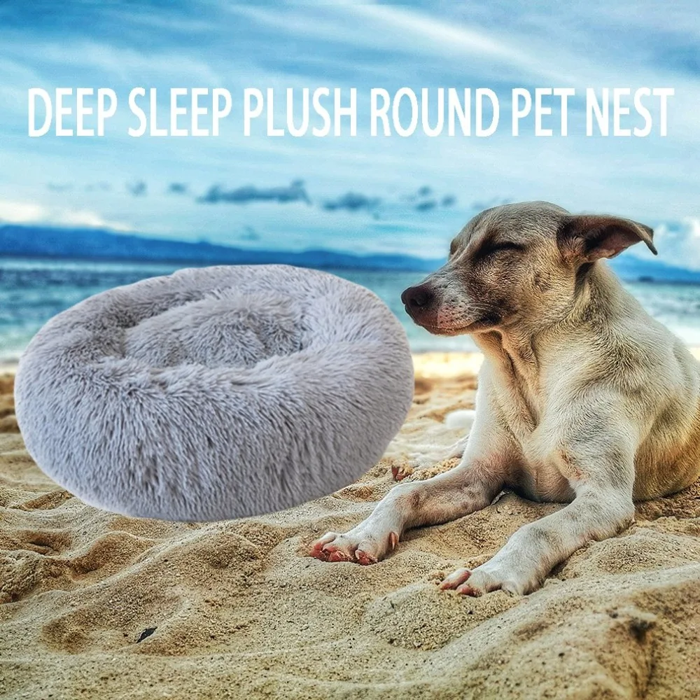 YY11456424-C-20190715-1