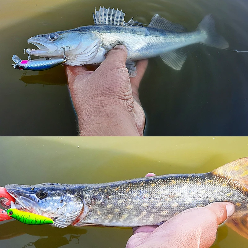 Приманка рыбалки TSURINOYA для мелкого диапазона Minnow DW71 64 мм 6 г Seabass плавающая