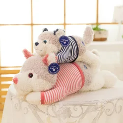 Bonito husky boneca brinquedos de pelúcia macio erha ragdoll bonecas longo sono travesseiro boneca das crianças