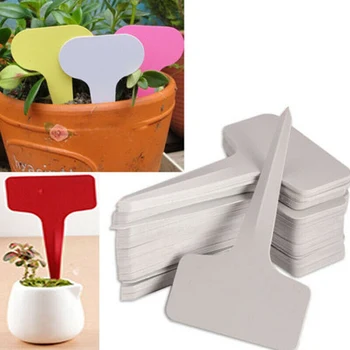 

100pcs 10*6*0.2cm Plastic PVC Plant T-type Tags Markers Nursery Garden Labels Nursery Pots Garden Decoration Seedling Tray
