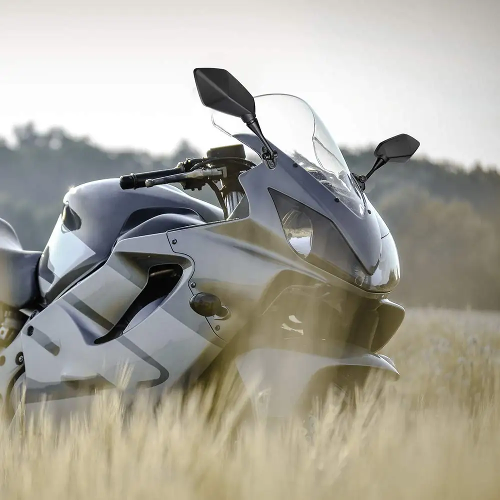 61C5rlCIB5L._AC_SL1000_