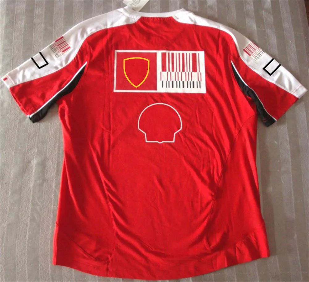 Hot sale F1 Formula One racing suit lapel POLO shirt clothes team work clothes short-sleeved T-shirt men's customization