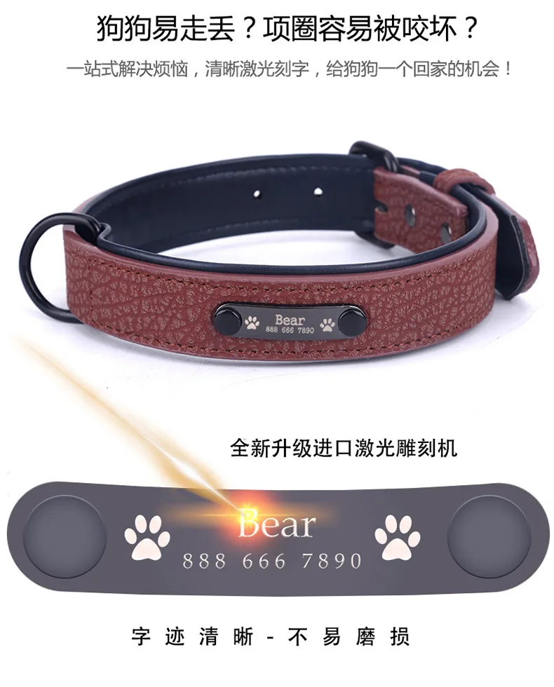 11338247448_1376810279