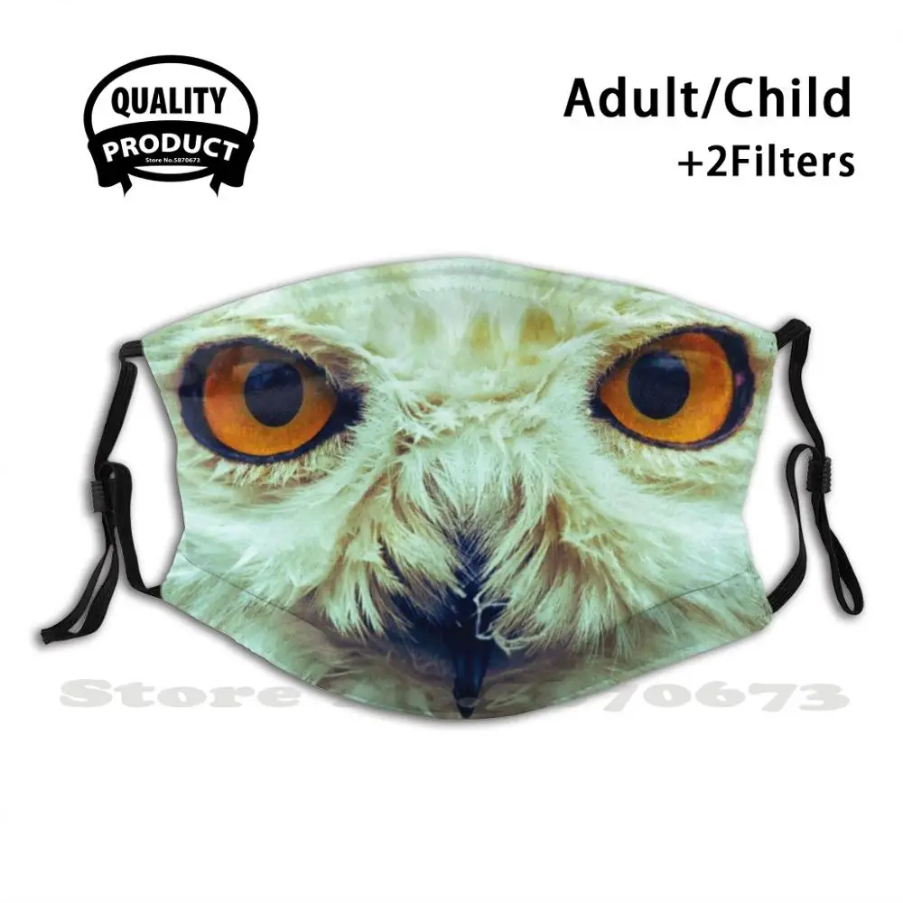 

Owl Bird Reusable Mouth Mask Washable Filter Anti Dust Face Masks Owl Nature Animal Animals Bird Birds Owl Wildlife Barn Owl