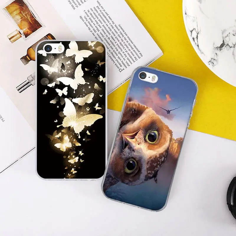 金蝴蝶、猫头鹰