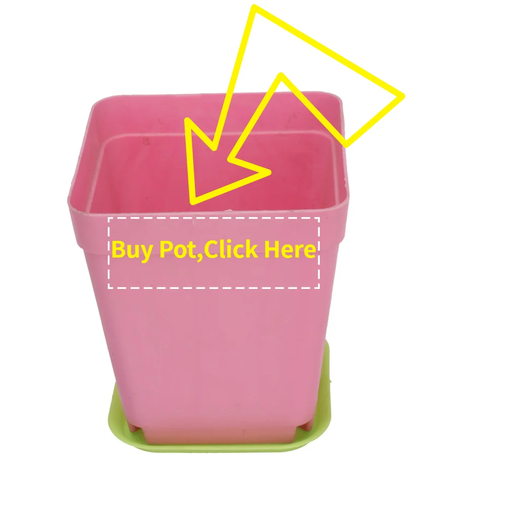 稿定设计导出-20200119-103916