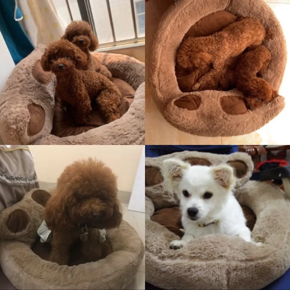 QQ图片20190909203427