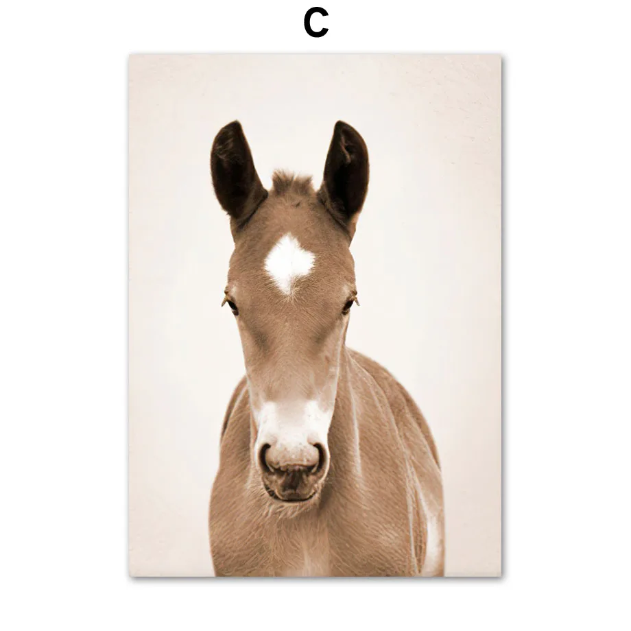 Farm-Animals-Cow-Horse-Rabbit-Sheep-Donkey-Wall-Art-Canvas-Painting-Nordic-Posters-And-Prints-Wall (5)