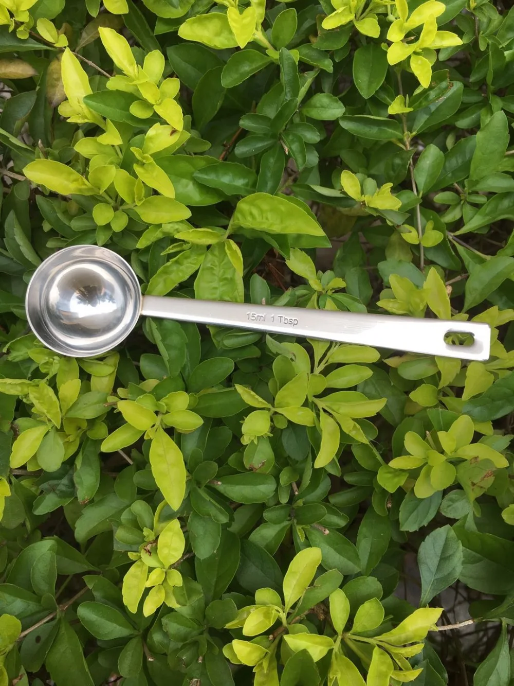 微信图片_20200517151156