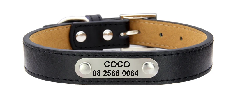 dog collar for small dogs-