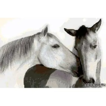 

G-1119 set for embroidery 'Tapestry Classic' 'лошади', 24x16 cm