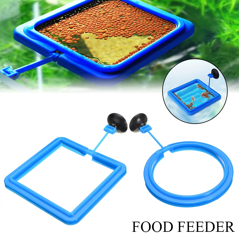 1 Juego de alimentador de peces para acuario, anillo de tanque de peces, estación alimentadora de alimentos, planta de agua, flotabilidad, anillo de alimentación cuadrado/Círculo