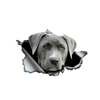 

Dawasaru Weimaraner Dog Torn Metal Car Sticker Personalized Decal Laptop Motorcycle Auto Accessories Decoration PVC,13cm*8cm