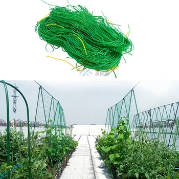 

2019 Newly Strengthen Garden Plants Climbing Net Nylon Morning Glory Flower Vine Netting Gardening Fence Holder Growth Network