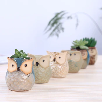 

6pcs Owl Pot Ceramic Succulent Plant Pot Cactus Thumb Flower Pot Container Planter Bonsai Pots with A Hole Desktop Ornament