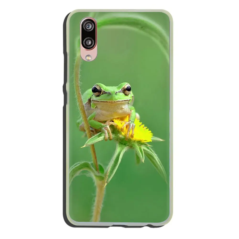 H6 Милый жесткий чехол с зеленой лягушкой для телефона huawei P30 P20 P8 P9 P10 Lite Mini Pro P smart Plus - Цвет: H6