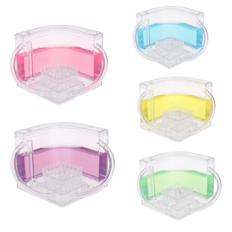 3D Ant Farm Educational Maze Live Feeding System Ants Habitat World Pet Villa Wholesale self contained environment dropshipping | Дом и сад