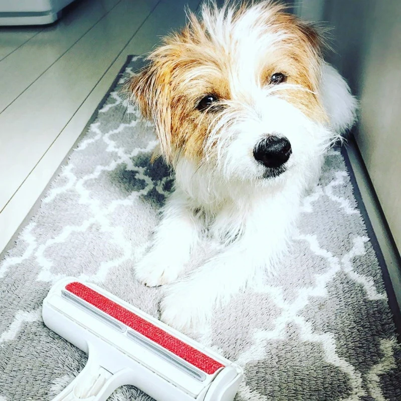Rotating Fur Remover For Pet Hair& Clothes Lint Reusable Roller Cleaning Brush
