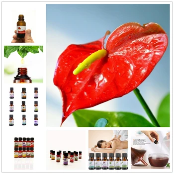 

Dropship 10ML 12Flavor Floral Essential Oil for Diffuser Aromatherapy Oil Pure Aroma Oil Chinese Wistaria Oil Help Sleep TSLM18