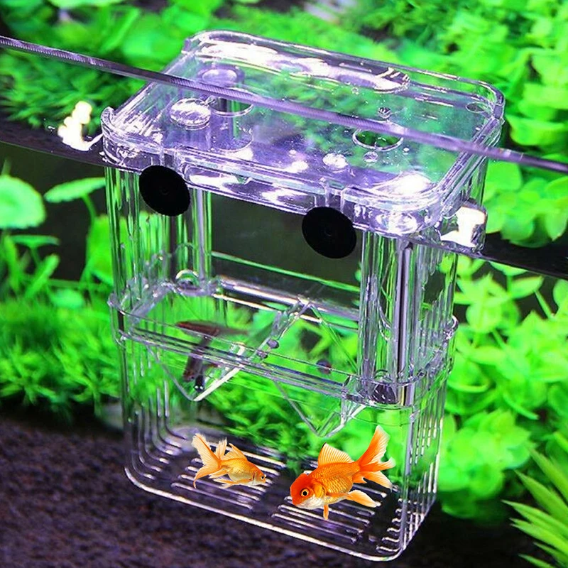 -Flotando tanque de peces de acuario Guppy doble de caja de crianza criadero de peces aislamiento caja de incubación