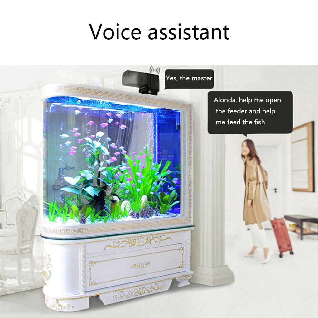 automatic fish tank