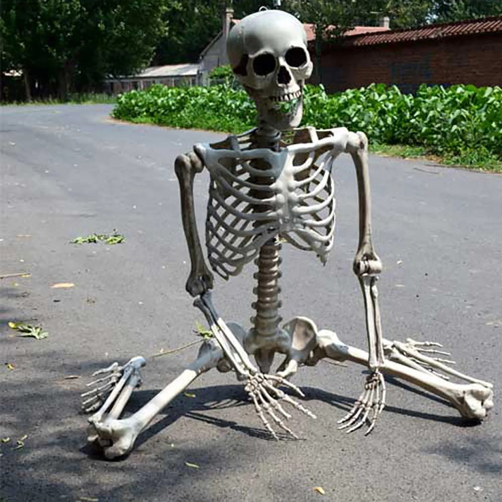 Halloween Skeleton Human Bone Material Seven Adjustable Joints Can be Suspended from Ceiling Suitable for Prank Themes | Дом и сад
