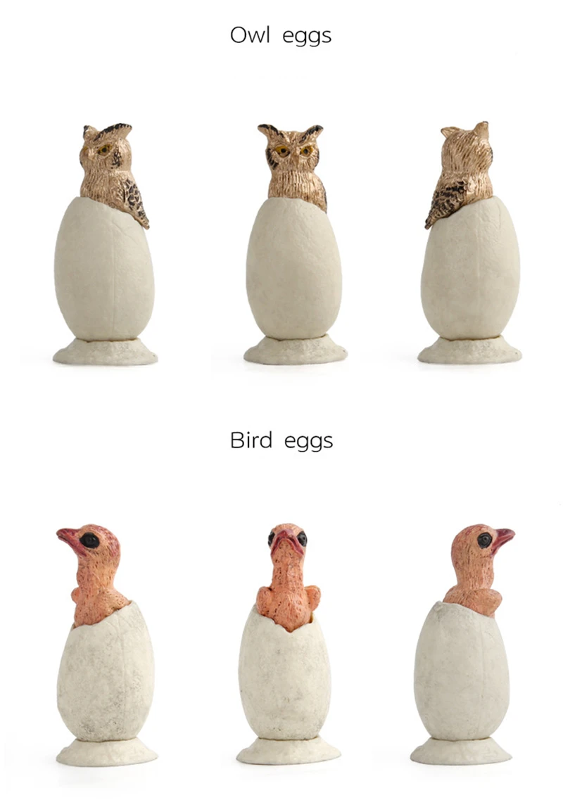 10000518651_202388549