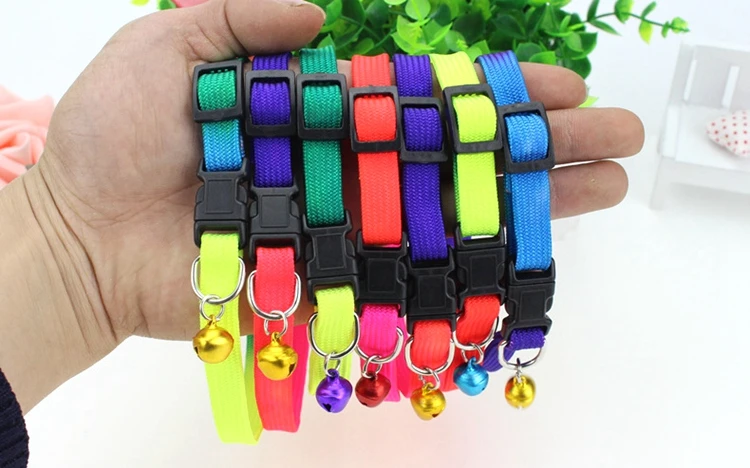 dog collars (1)