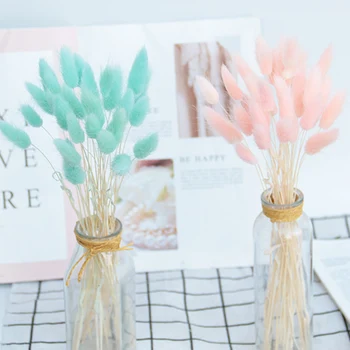 

20 Pcs/Lot Gradient Lagurus Ovatus Natural Dried Flowers Bouquet Wedding Home Easter Decorations Rabbit Tail Grass home decor