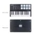 Hot WORLDE Panda MIDI Keyboard MIDI Controller and Drum Pad MINI 25-Key Ultra-Portable USB MIDI Keyboard Controller 7 Стилей