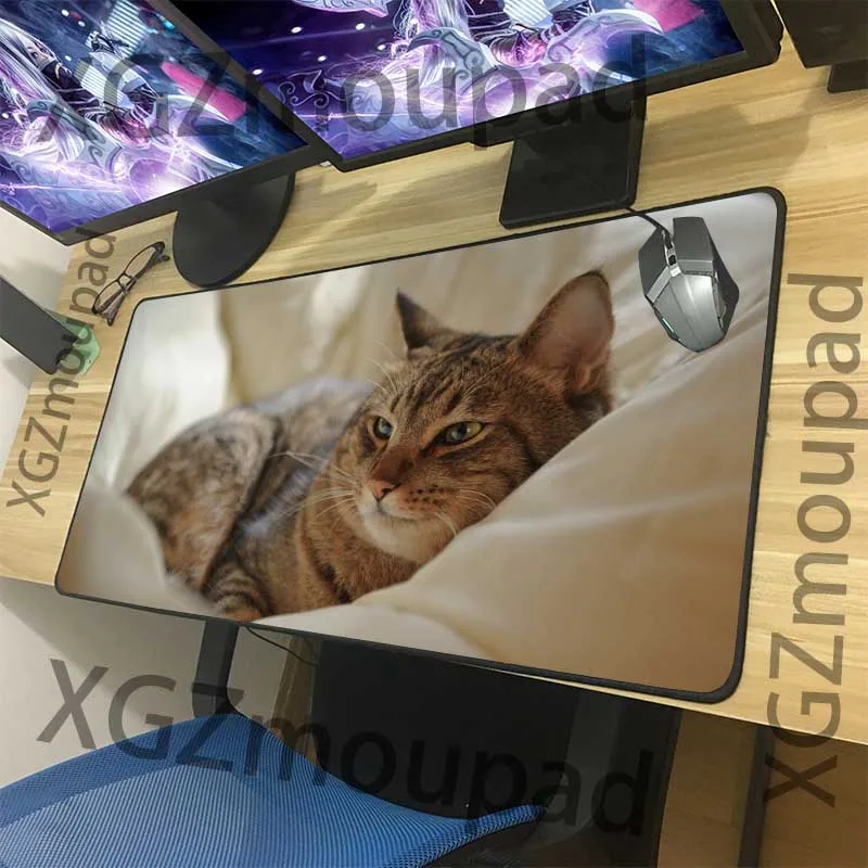  XGZ Customized Large Mouse Pad Precision Black Lock Edge Animal Cat Computer Desk Mat Speed Rubber 