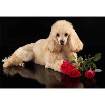 

3d Picture DIY Rhinestone Embroidery Diamond Painting Poodle pets 5D Cross Stitch mosaic painting home Room Decoration FG2097