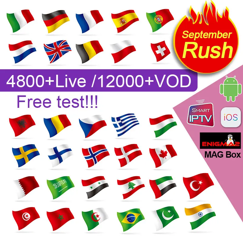 

IPTV Subscription IPTV France Germany Italy PK QHDTV 4K French Sweden Portugal Poland IPTV M3U Android IPTV Spain Italy Belgium
