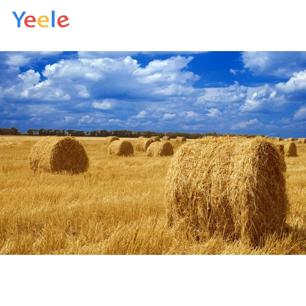 

Yeele Autumn Farm Field Hay Roll Wheat Photography Backgrounds Custom Vinyl Photocall Photographic Backdrop For Photo Studio