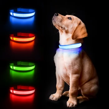 MASBRILL Dog Collar Luminous Pet Supplies Dog Collar Waterpoof Safety Collars dropship No Logo 3
