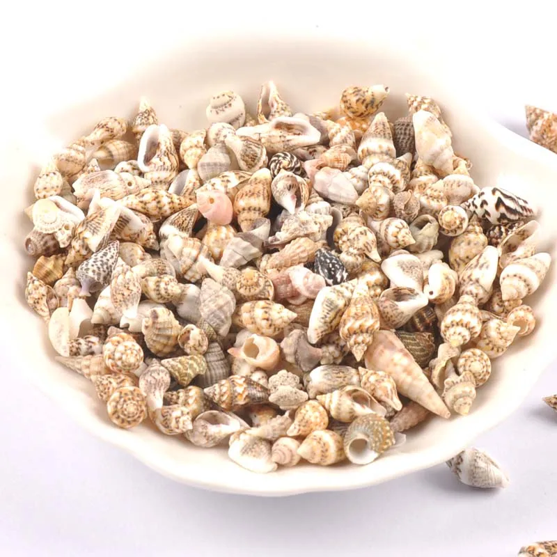 Natural Shell Ornaments Leopard Print Stripe Spiral 100pcs for Scrapbooking Glass Bottle Home Decoration