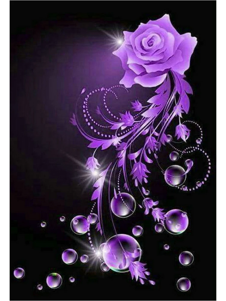 ARS- (21)