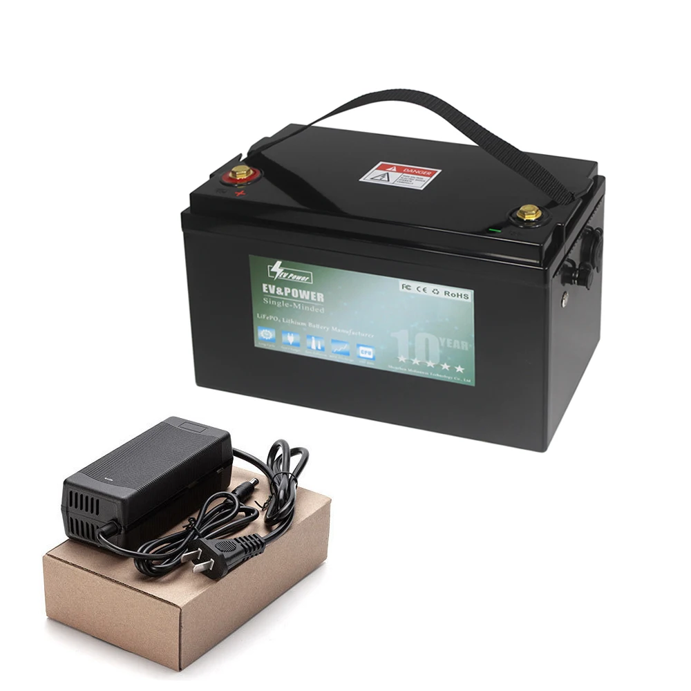 12V 24V 36V 48V 60V LiFePO4 Lithium Iron Phosphate Battery With BMS 40Ah 80Ah 100Ah 120Ah 200Ah 300Ah For Golf Cart EV RV Solar